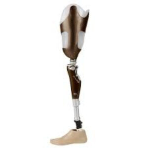 C-LEG