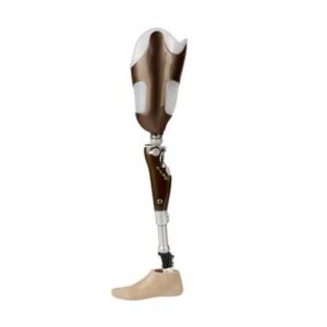 C-leg